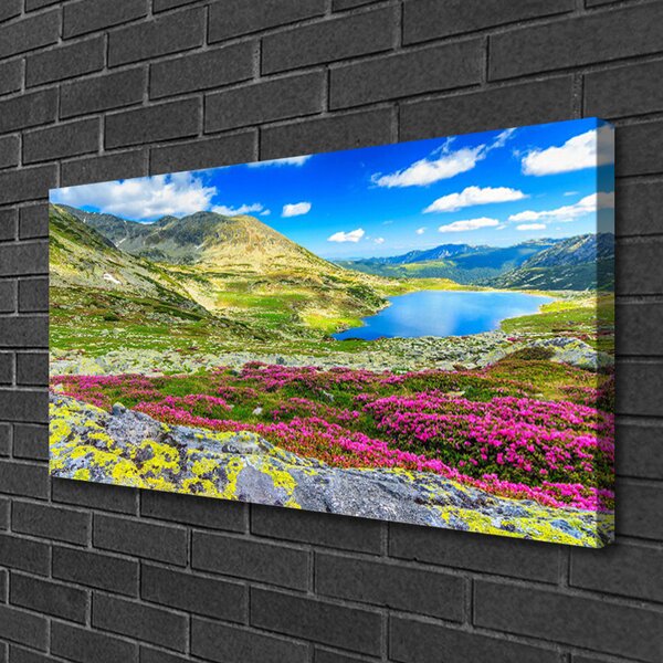 Obraz na plátne Hora záliv lúka príroda 100x50 cm