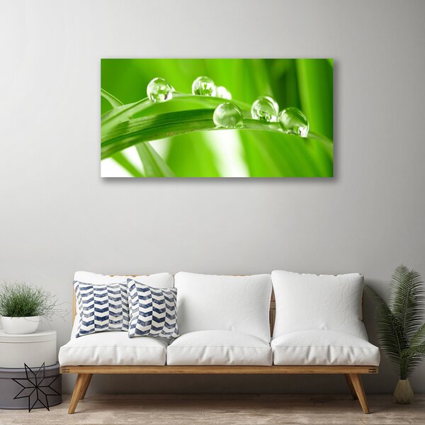 Obraz na plátne Listy príroda rastlina 100x50 cm