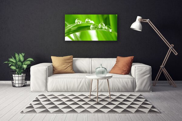 Obraz na plátne Listy príroda rastlina 100x50 cm