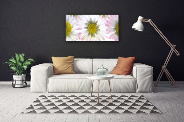 Obraz na plátne Sedmokráska rastlina príroda 100x50 cm