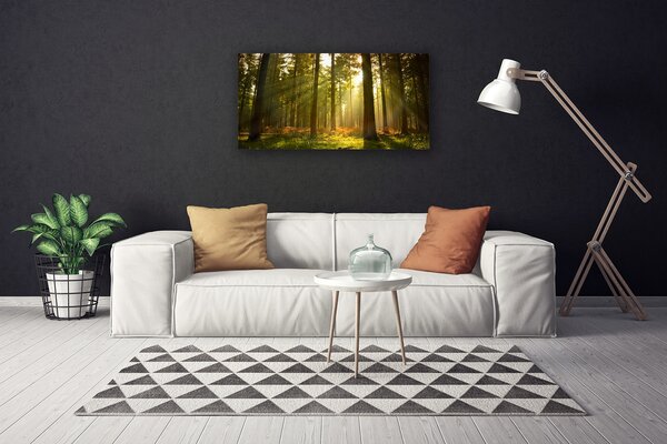 Obraz na plátne Les príroda 100x50 cm