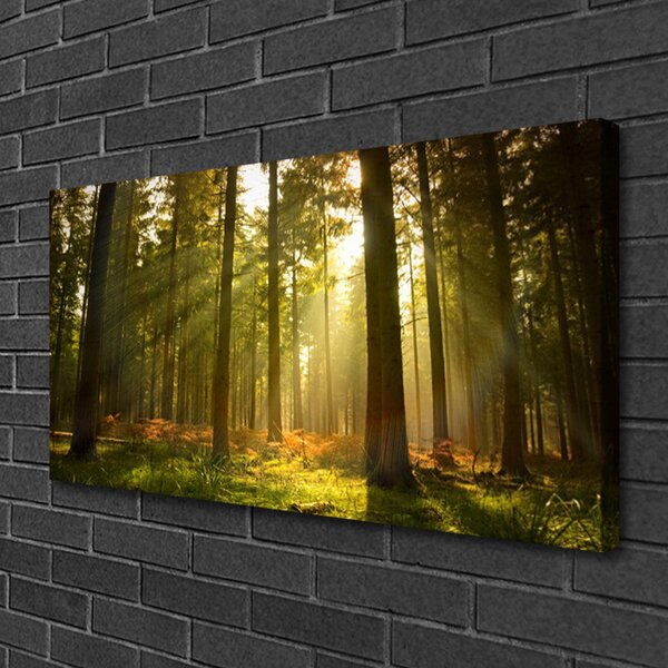 Obraz na plátne Les príroda 100x50 cm