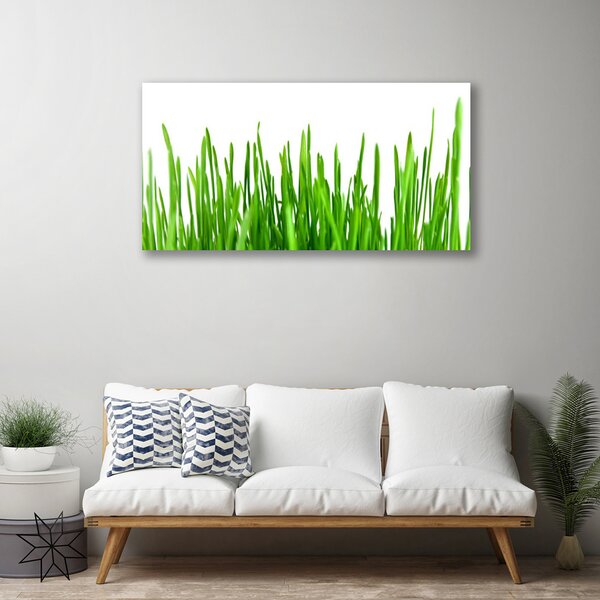 Obraz na plátne Tráva rastlina príroda 100x50 cm