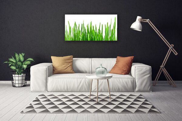 Obraz na plátne Tráva rastlina príroda 100x50 cm