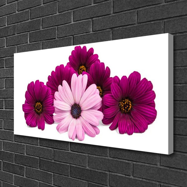 Obraz na plátne Kvety rastlina príroda 100x50 cm