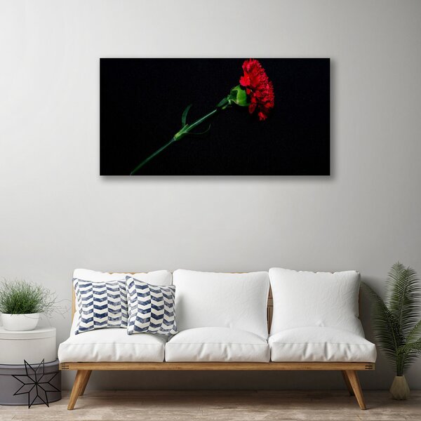 Obraz na plátne Kvet rastlina príroda 100x50 cm