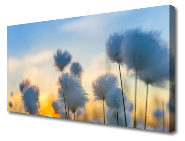 Obraz Canvas Kvety rastlina príroda 125x50 cm