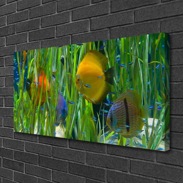 Obraz Canvas Ryba riasy príroda 100x50 cm