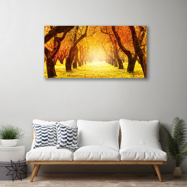 Obraz Canvas Les chodník stromy príroda 100x50 cm