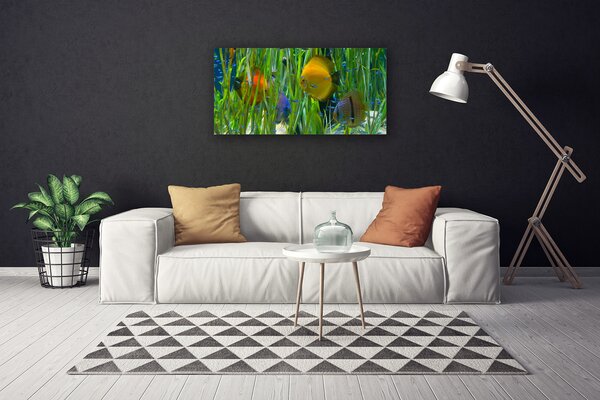 Obraz Canvas Ryba riasy príroda 100x50 cm
