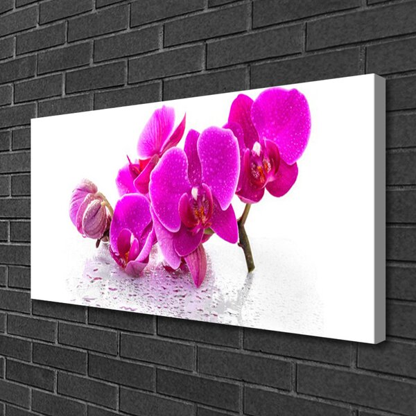 Obraz Canvas Kvety rastlina príroda 100x50 cm