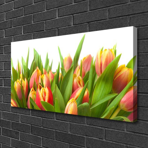 Obraz Canvas Tulipány kvety rastlina 100x50 cm
