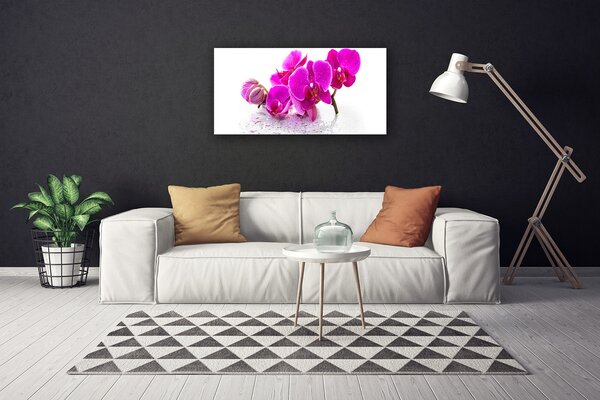 Obraz Canvas Kvety rastlina príroda 100x50 cm