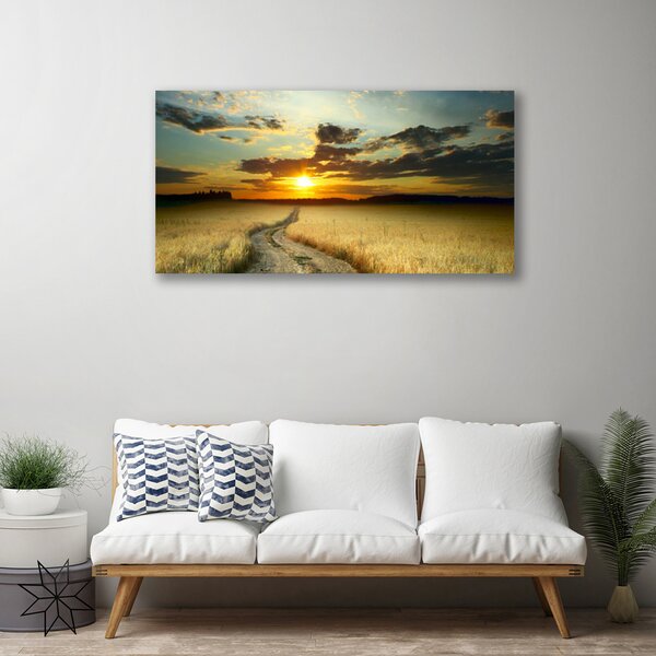 Obraz Canvas Cestička pole príroda 100x50 cm