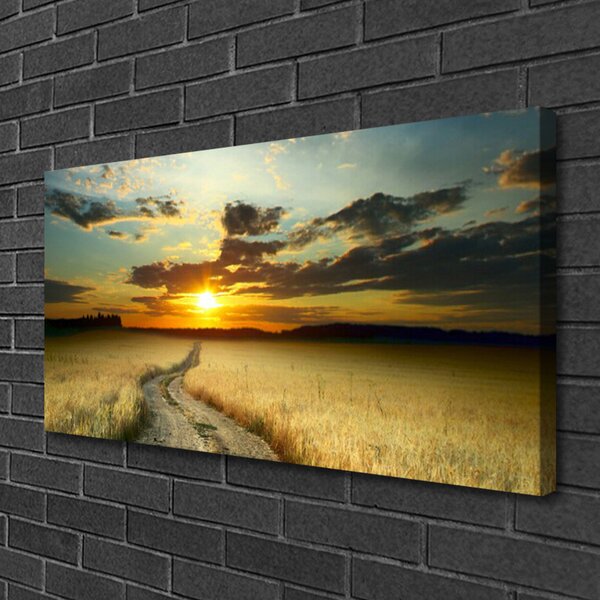 Obraz Canvas Cestička pole príroda 100x50 cm