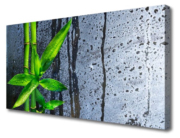 Obraz Canvas Bambus list rastlina príroda 125x50 cm