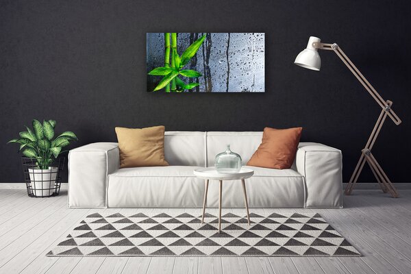 Obraz Canvas Bambus list rastlina príroda 100x50 cm