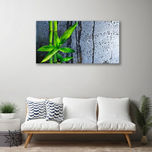 Obraz Canvas Bambus list rastlina príroda 100x50 cm
