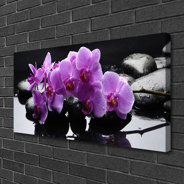 Obraz Canvas Kvet kamene rastlina 100x50 cm