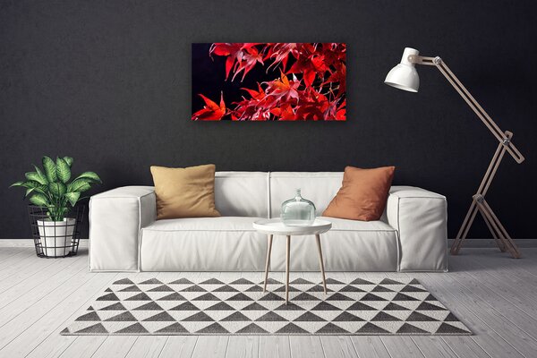 Obraz Canvas Listy príroda rastlina 100x50 cm