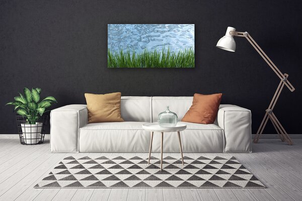 Obraz Canvas Tráva voda príroda 100x50 cm
