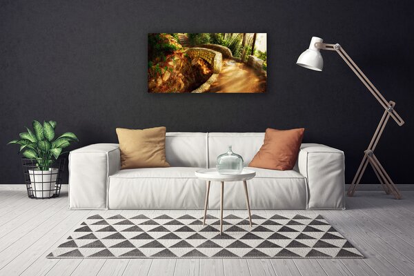 Obraz Canvas Most stromy architektúra 100x50 cm