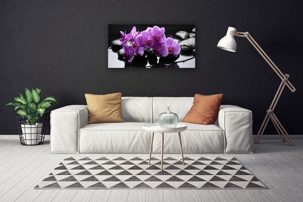 Obraz Canvas Kvet kamene rastlina 100x50 cm