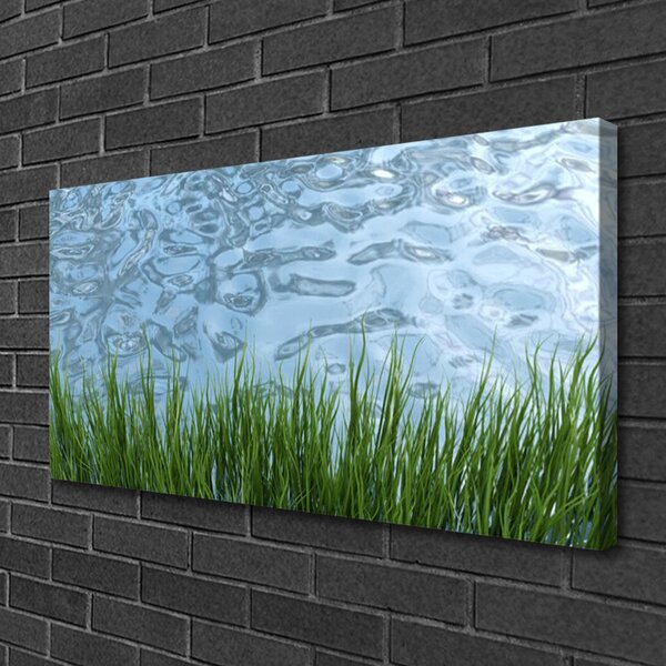 Obraz Canvas Tráva voda príroda 100x50 cm