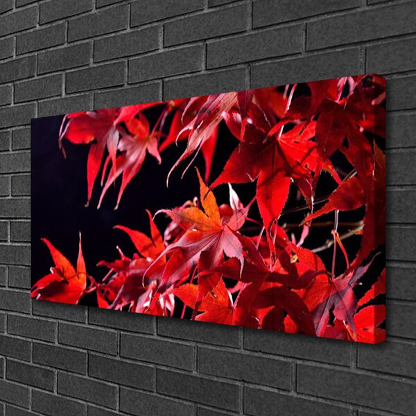 Obraz Canvas Listy príroda rastlina 100x50 cm