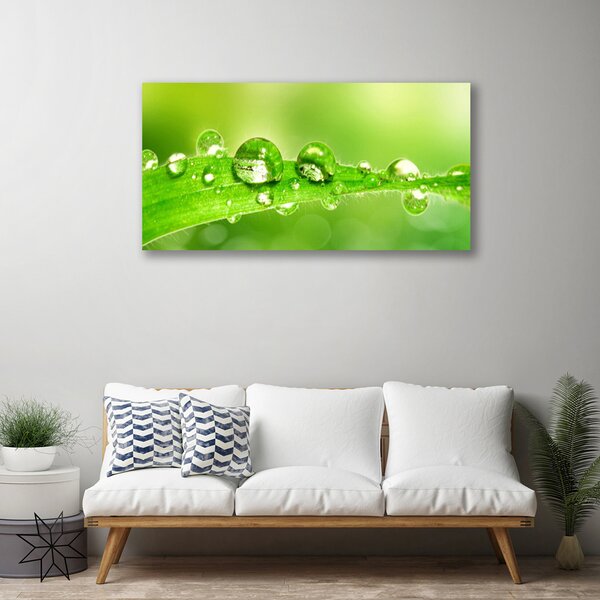 Obraz Canvas List kvapky rosa rastlina 100x50 cm