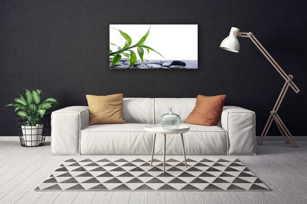 Obraz Canvas List príroda kamene rastlina 100x50 cm