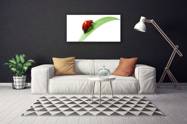 Obraz Canvas Lienka list príroda 100x50 cm