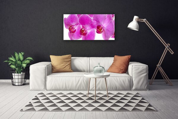 Obraz Canvas Kvety rastlina príroda 100x50 cm
