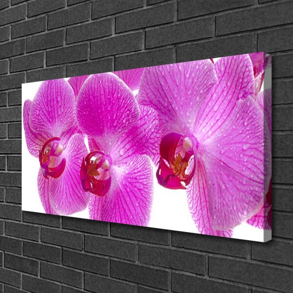 Obraz Canvas Kvety rastlina príroda 100x50 cm