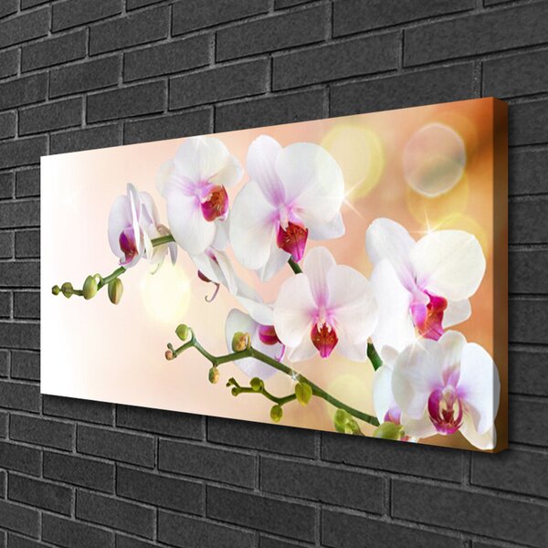 Obraz Canvas Kvety rastlina príroda 100x50 cm