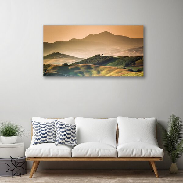 Obraz Canvas Hory pole príroda 100x50 cm