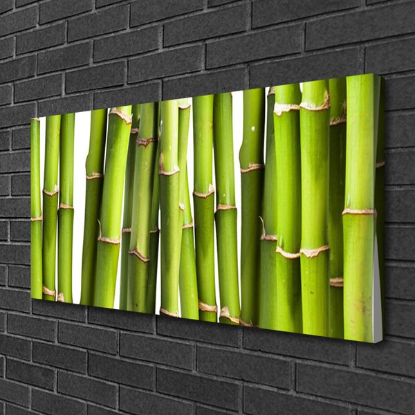 Obraz Canvas Bambus rastlina príroda 100x50 cm