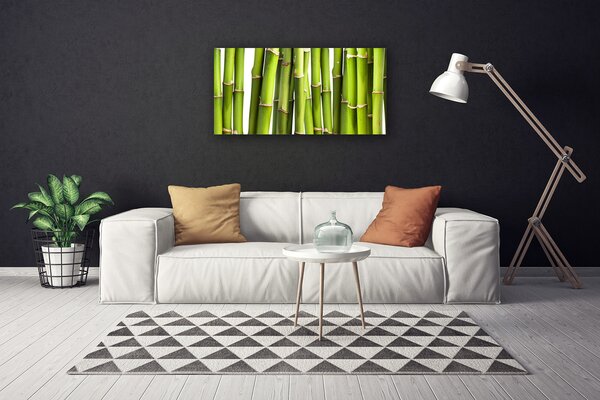 Obraz Canvas Bambus rastlina príroda 100x50 cm