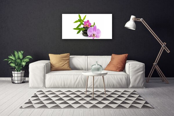 Obraz Canvas Kvet kamene rastlina 100x50 cm