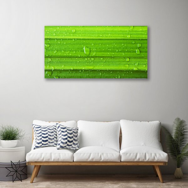 Obraz Canvas Tráva rastlina príroda 100x50 cm