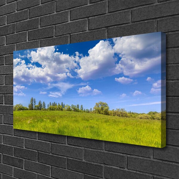 Obraz Canvas Lúka tráva nebo krajina 100x50 cm