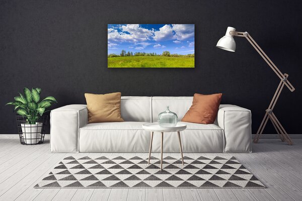 Obraz Canvas Lúka tráva nebo krajina 100x50 cm