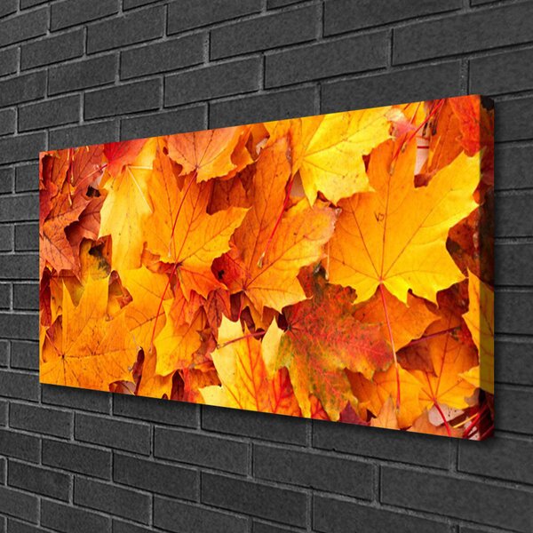 Obraz Canvas Listy príroda rastlina 100x50 cm