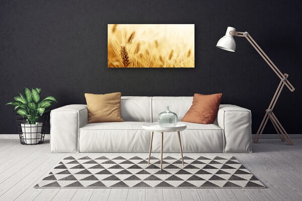 Obraz Canvas Pšenica rastlina príroda 100x50 cm