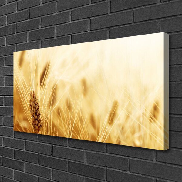 Obraz Canvas Pšenica rastlina príroda 100x50 cm