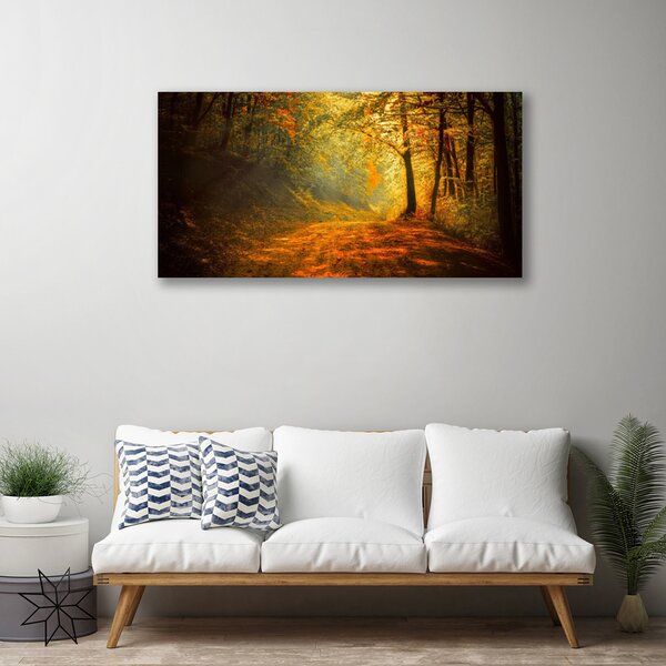 Obraz Canvas Les cestička stromy príroda 100x50 cm