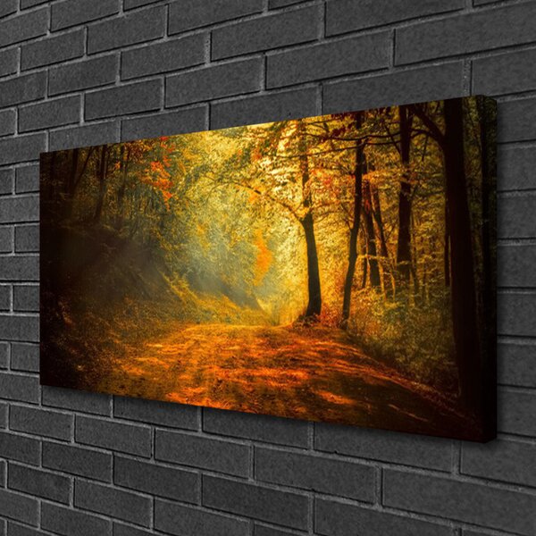 Obraz Canvas Les cestička stromy príroda 100x50 cm