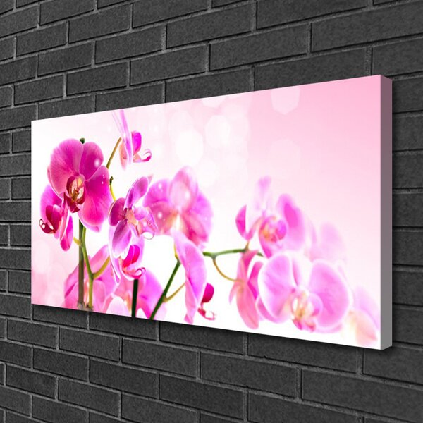 Obraz Canvas Kvety rastlina príroda 100x50 cm
