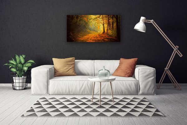 Obraz Canvas Les cestička stromy príroda 100x50 cm