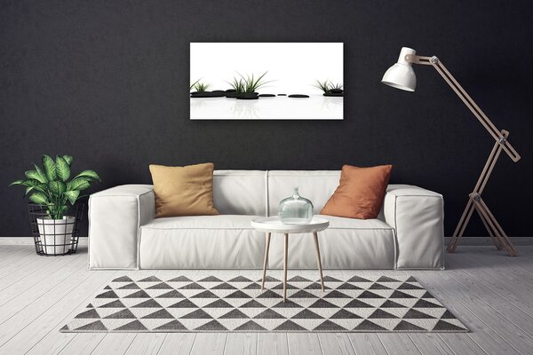 Obraz Canvas Tráva kamene umenie 100x50 cm